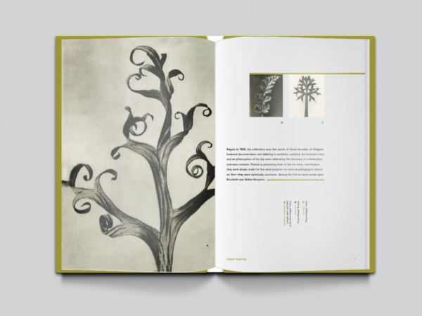 book mockup spread2