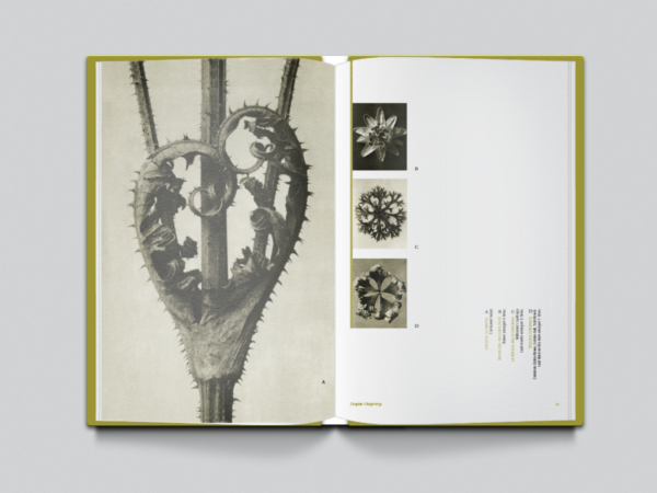 book-mockup spread3