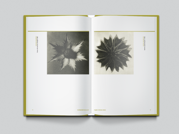 book mockup spread5