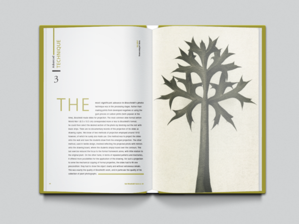 book mockup spread6